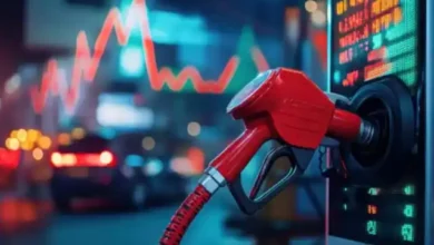 Petrol-Diesel पर सरकार का बड़ा फैसला! क्या आम आदमी की बढ़ेगी परेशानी? जानिए नए नियम